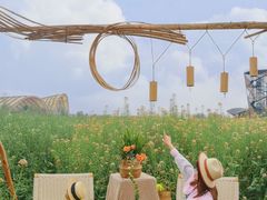 -中国天府农业博览园