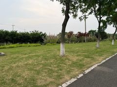 -双山岛