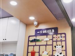 -一只酸奶牛(八一路店)