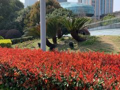 -北外滩滨江绿地