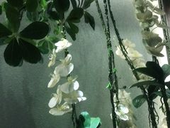 -观唐足道SPA养生会馆(南湖店)