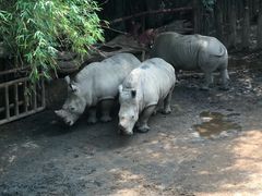 -长鹿旅游休博园