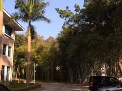 iphone_upload_pic-深圳麒麟山庄