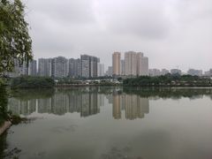 -白鹭湾湿地公园