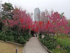 -牛岗山公园