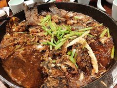 -老板恋上鱼(高新万达店)