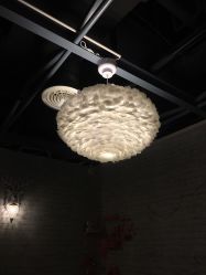 -doladola(徐家汇店)