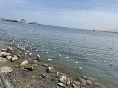 -青海湖二郎剑景区