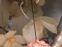 -PARFUM FLORAL花境法餐(南京首店)