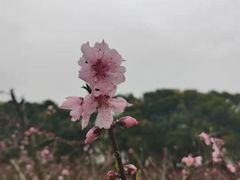 -宾湖农庄·农场特色(太湖龙之梦店)