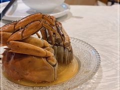 -丁老爷子苏香圆