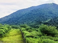 -浙西天池景区