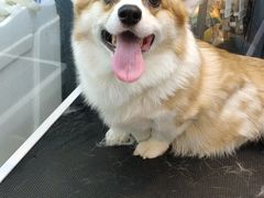 -萌兽医馆·眼科·异宠专科(三里屯店)