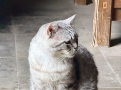 -无锡惠山寺