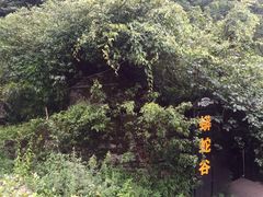 -梦幻奥陶纪景区