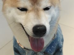 -怪兽屋·羊驼·猫咖·狗咖(俊华广场店)