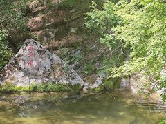 -王顺山国家森林公园
