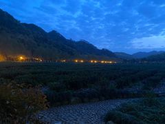 -中国茶叶博物馆(双峰馆区)
