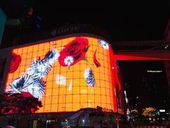 -新世界百货(明洞总店)