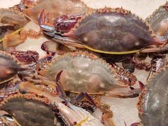 -星伦多自助料理·涮烤一体(嘉兴八佰伴店)