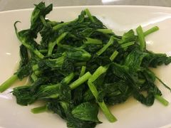 清炒豆尖-成都驻京办餐厅(蜀都宾馆店)