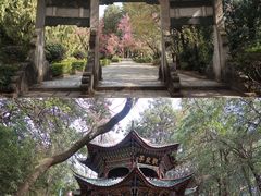 -蝴蝶泉公园