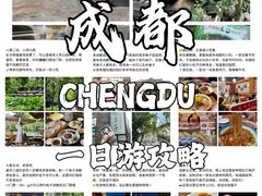 -王婆婆老妈蹄花川菜馆·非物质文化遗产(太古里一店)
