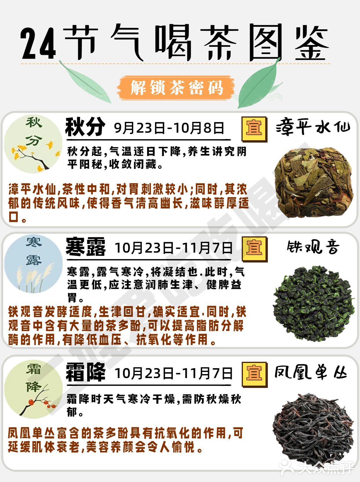 24节气喝茶图鉴🍃解锁茶密码