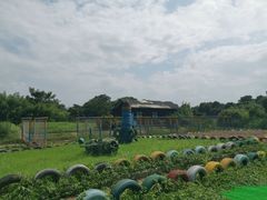 -中国扬子鳄村