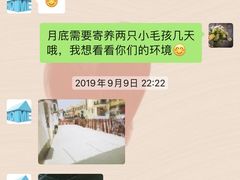 -宠物之家Pets Home 宠物寄养酒店