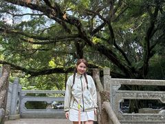 -广州市石门国家森林公园