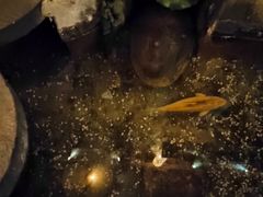 -淀里船宴(卓达店)