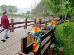 -长兴太湖图影湿地文化园
