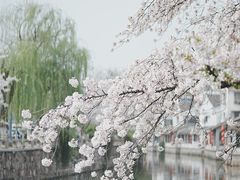 -常熟方塔园