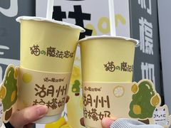 -猫的魔法密林(衣裳街店)