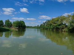 -合肥滨湖国家森林公园