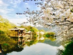 -西湖外事游船(花港观鱼码头)