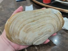 象拔蚌-蚝专家(北滘店)