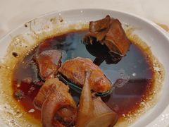 -侨美·唐荔园·40年地道粤菜