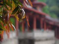 -重庆彩云湖湿地公园