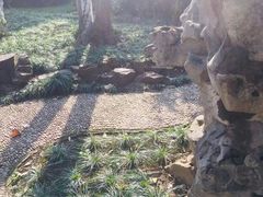 -苏州图书馆(人民路总馆)