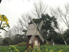 -圩墩遗址公园