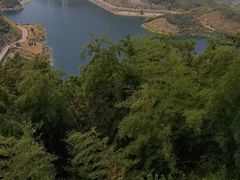 -长沙黑麋峰国家森林公园