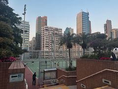 -九龙公园