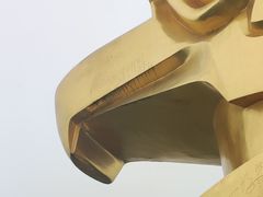 -大金鹰园