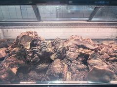 -高玛纳驴肉火烧(河间总店)