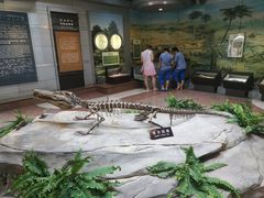 -自贡恐龙博物馆