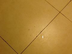 -德克士(西站站内店)