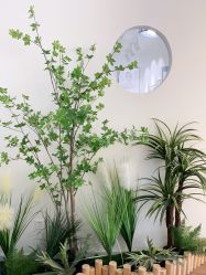 -美肌工坊皮肤管理