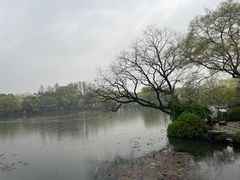 -西湖游船